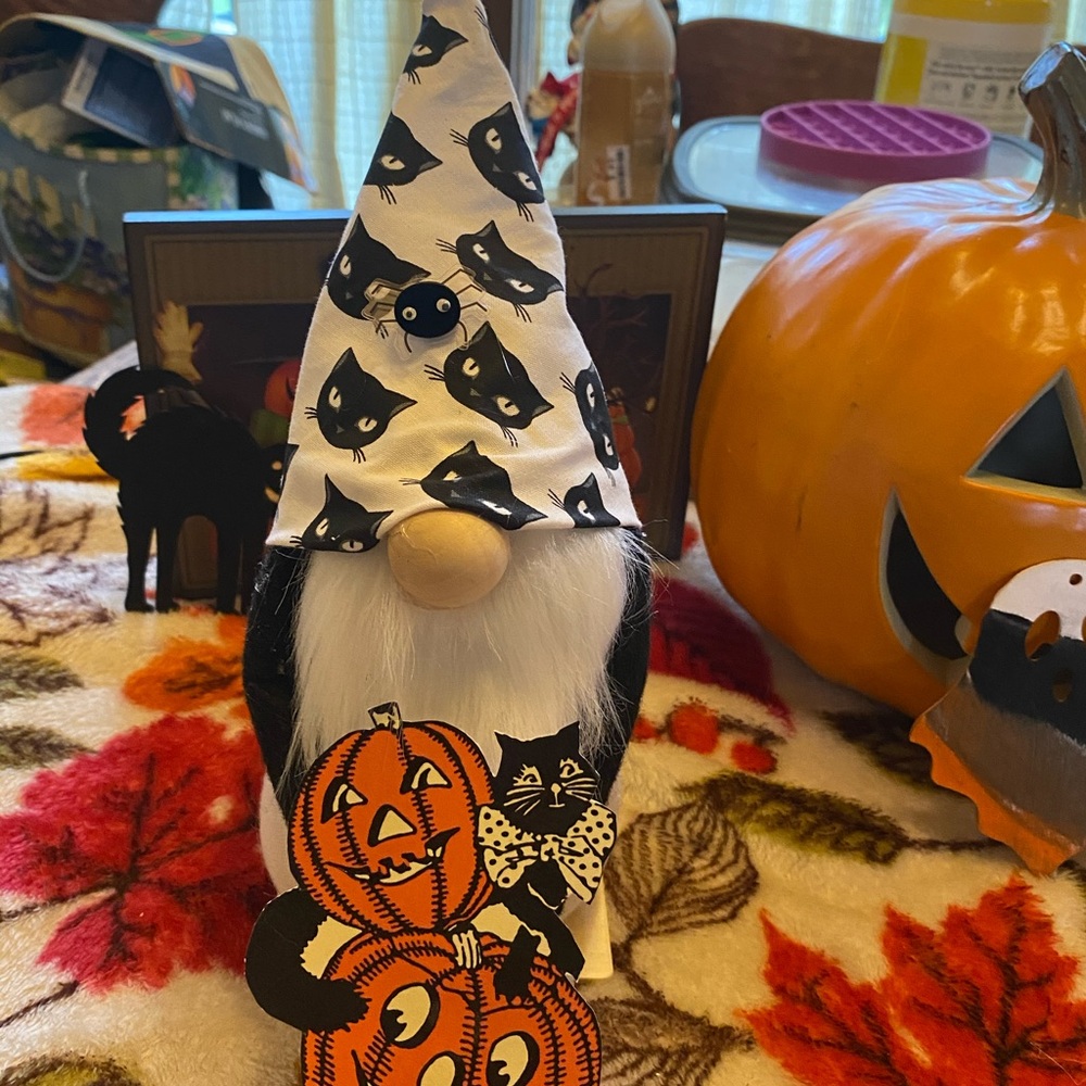 Gnome halloween black cat